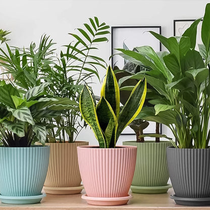 Set of five Wukusy plastic flower pots with matching bottom trays for home gardening and plant display.