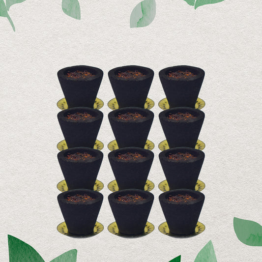 Set of 12 Wukusy Premium Gugal Sambrani Cups for Havan and home improvement, shown in a close-up of the cups ready for use.
