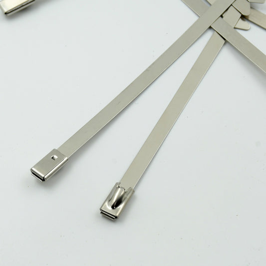 Set of 10 Wukusy stainless steel cable ties, 4.6x100mm, ideal for home improvement and securing cables and materials.