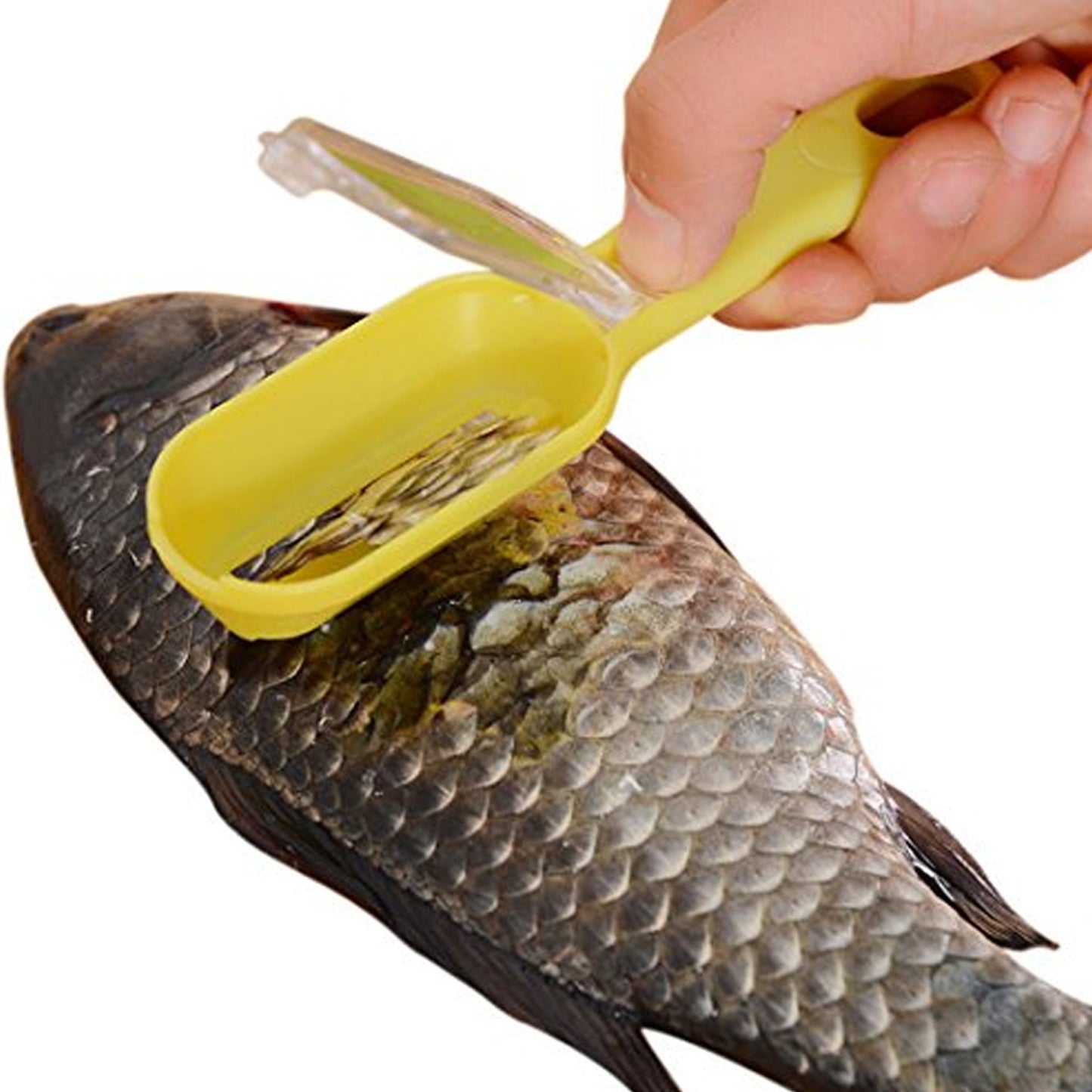 Wukusy plastic fish scales scraper with cover, fish skin brush and cleaning tool for kitchen fish preparation tasks.