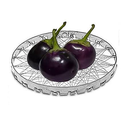Stainless steel grill jalli for chota tandoor, ideal for home kitchen cooking by Wukusy, showcasing the metal grid design.