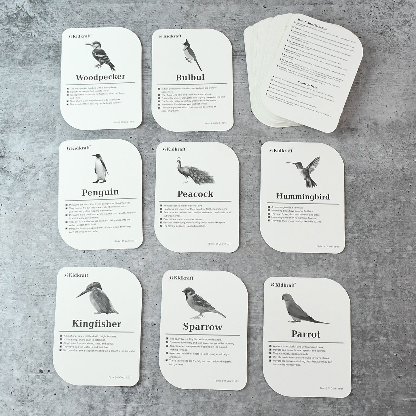 Wukusy Kidkraft Early Learner educational flashcards featuring colorful illustrations of 32 different bird species for kids.