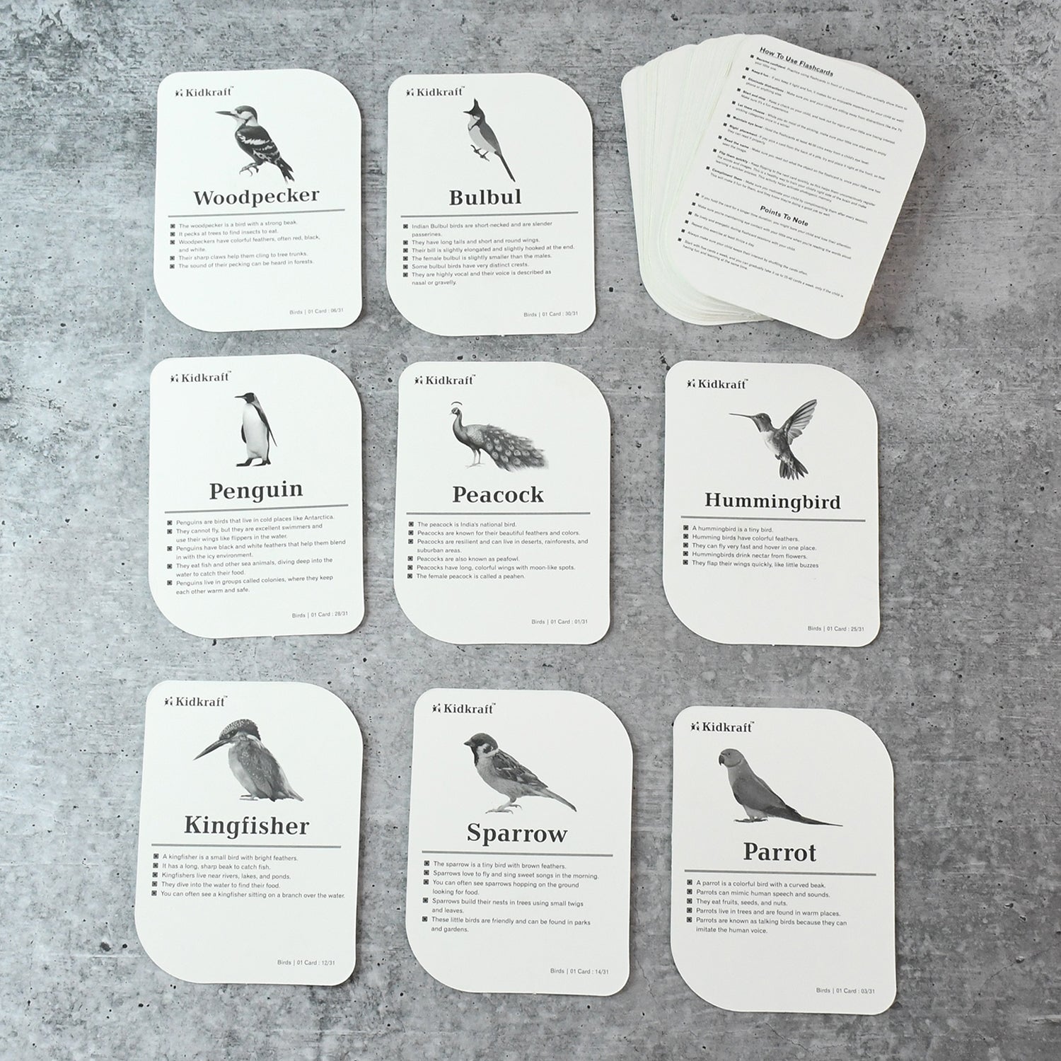 Wukusy Kidkraft Early Learner educational flashcards featuring colorful illustrations of 32 different bird species for kids.