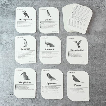 Wukusy Kidkraft Early Learner educational flashcards featuring colorful illustrations of 32 different bird species for kids.