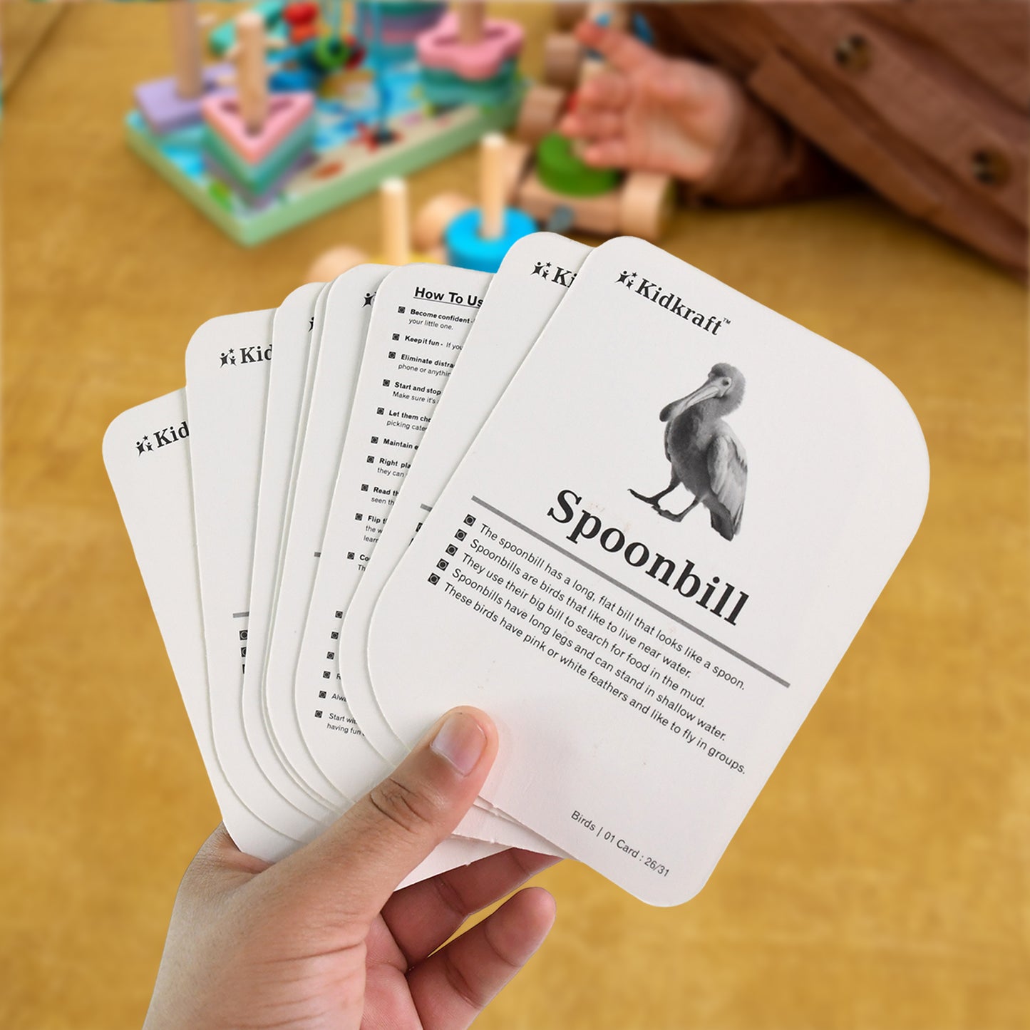 Wukusy Kidkraft Early Learner Educational Flashcards featuring colorful illustrations of 32 different bird images for kids.