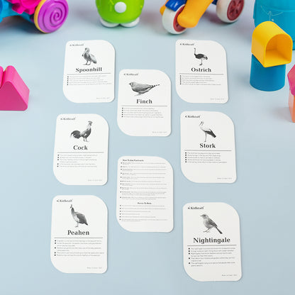 Kidkraft Early Learner educational flashcards by Wukusy featuring 32 colorful bird illustrations for kids' learning toys.