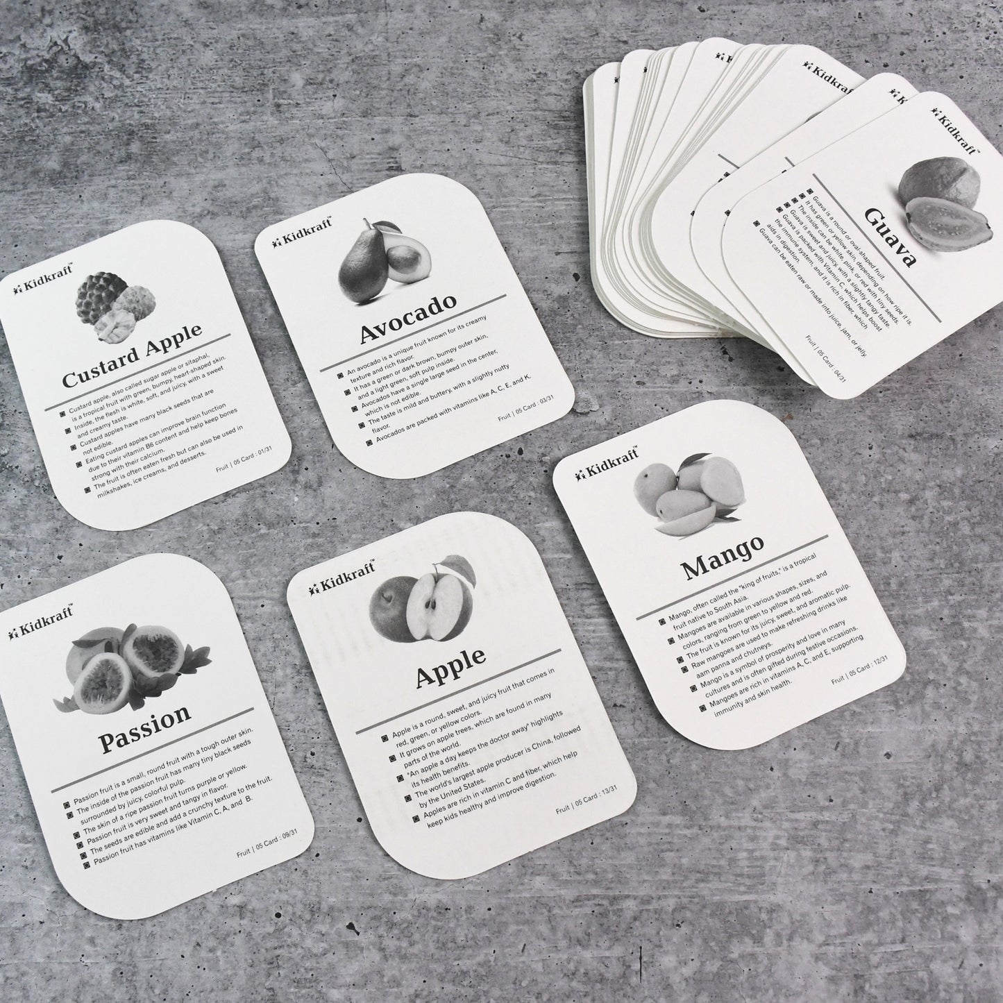 Wukusy Kidkraft Early Learner educational flashcards featuring 32 colorful bird images for kids' learning toys.