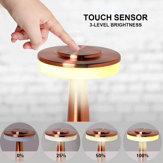 Wukusy LED touch control desk lamp with metal design, portable, rechargeable, 3 color options, dimmable, eye protection for home decor