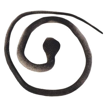 Realistic Wukusy dummy snake toy for kids pranks, detailed faux snake with lifelike scales and coiled posture.
