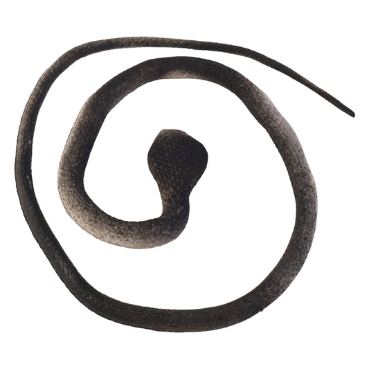 Realistic Wukusy dummy snake toy for kids pranks, detailed faux snake with lifelike scales and coiled posture.