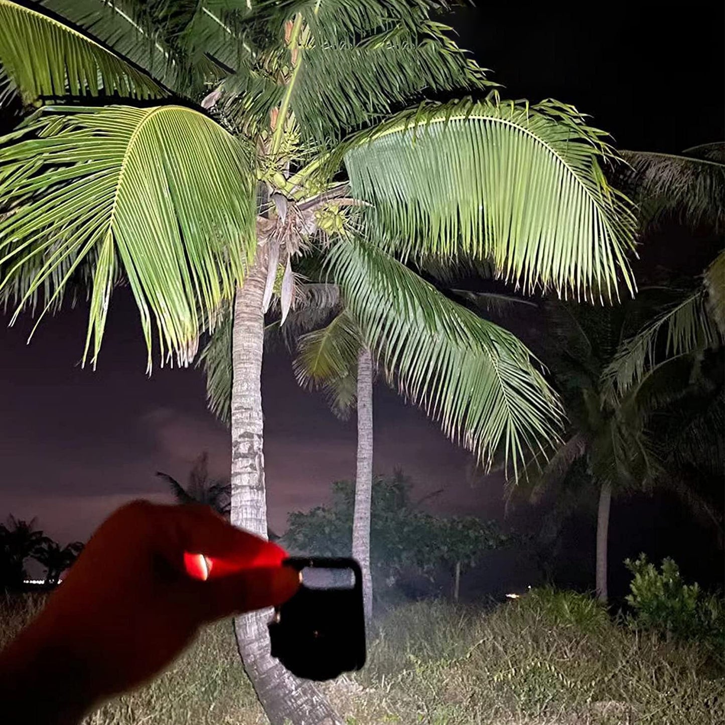 Wukusy LED battery-operated keychain flashlight with folding bracket and bottle opener, suitable for camping, hiking, and emergency use