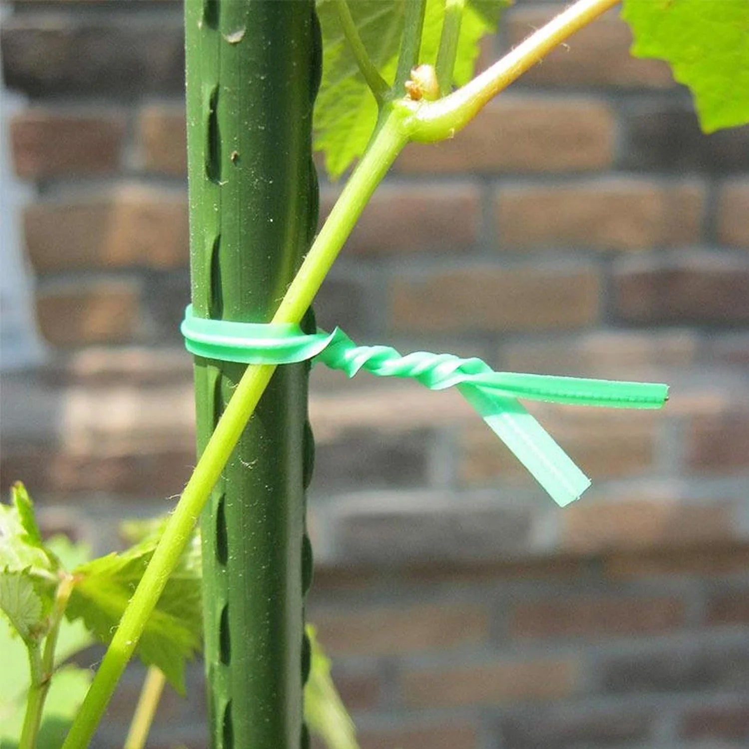 Reusable green twist tie roll by Wukusy, 50 meters of flexible, eco-friendly wire ties for bundling and organizing items.